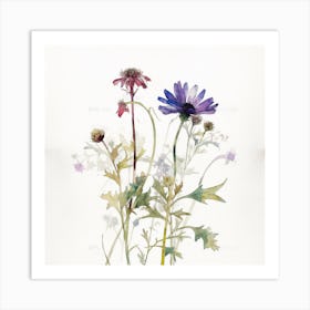 Wildflowers Art Print