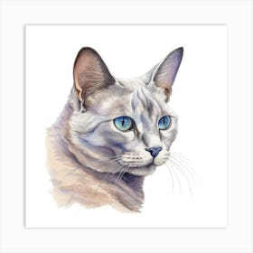 Bali Cat Portrait 1 Art Print