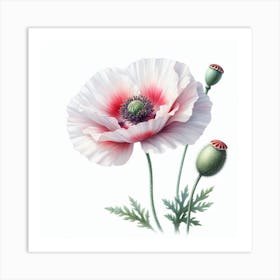 Oriental poppy Art Print