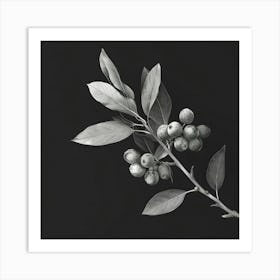 Black And White Berries Art Print