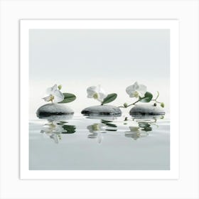 Three Orchids In Water Art Print