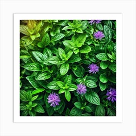 Close Up Of Purple Basil Flowers Art Print