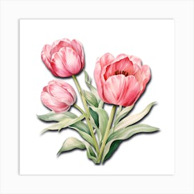 Tulip Trio Flower Art Art Print