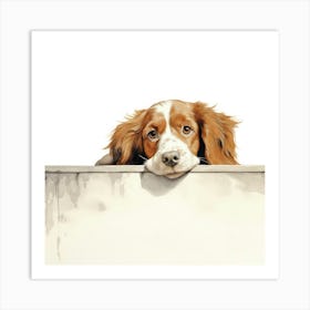 Setter Irish Red 1 Art Print