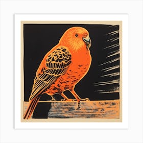 Retro Bird Lithograph Budgerigar 4 Art Print