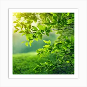 Nature Background Art Print