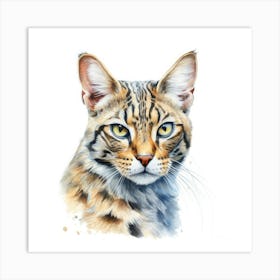 Leopardus Cat Portrait Art Print