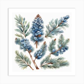 Blue spruce branches 2 Art Print