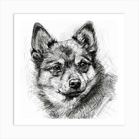  Finnish Spitz Dog Line Sketch 1 Art Print