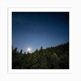 Night Sky Over Forest Art Print