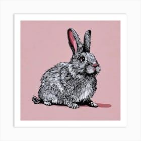 Rabbit On A Pink Background Art Print