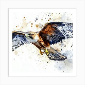 Hawk In Flight Watercolor Art Print