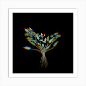 Prism Shift Starfruit Botanical Illustration on Black Art Print