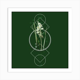 Vintage Drooping Star of Bethlehem Botanical with Geometric Line Motif and Dot Pattern n.0409 Art Print