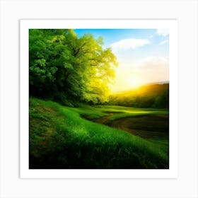 Sunset In The Forest Art Print