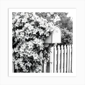 Black And White Flowering Mailbox Poster