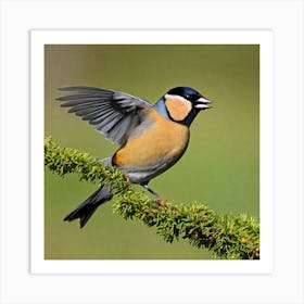 Tawny Finch 2 Art Print