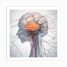 Brain And Nervous System 27 Art Print