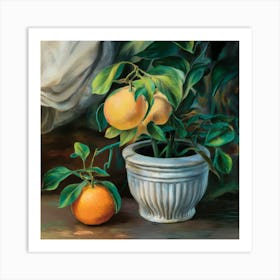 Oranges In A Pot 2 Art Print