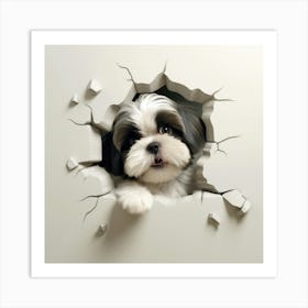 Shih Tzu 5 Art Print