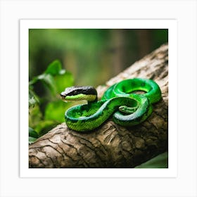 Green Tree Snake Art Print