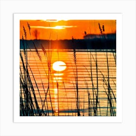 Sunset Over Reeds Art Print