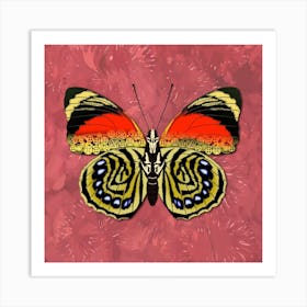 Mechanical Butterfly The Agrias Amydon Tryphon F On A Pink Background Art Print