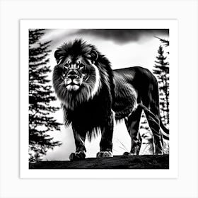Lion In Black And White 1 Art Print