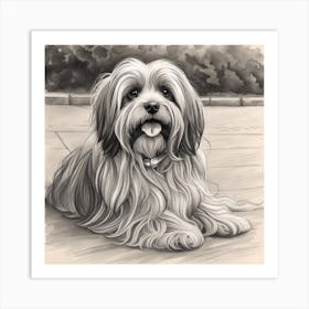 Shih Tzu 2 Art Print