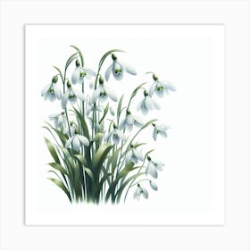 Flowers of Snowdrops 1 Art Print