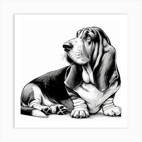 Basset hound dog 2 Art Print