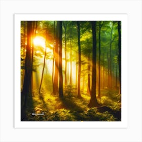 Forest Lights Art Print