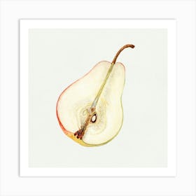 Half Pear Art Print