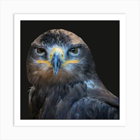 Eagle Art Print