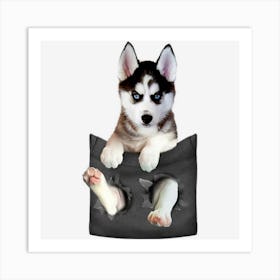 Siberian Husky In Pocket Puppy Art Print