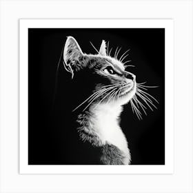 Cat Silhouette Art Print