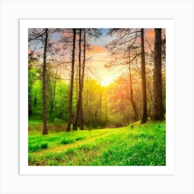 Firefly Sunset In A Beautiful Forest With Green Grass 97288 Art Print