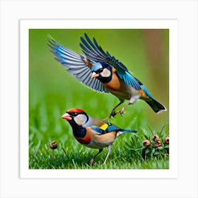 Two Birds In Flight 1 Art Print