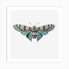 Butterfly Blue Moth 1 Art Print