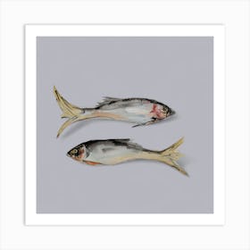 Grey Fish Art Print