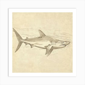 Carpet Shark Vintage Illustration 3 Art Print
