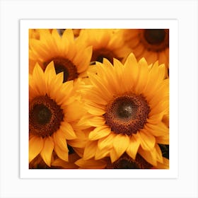 Sunflowers 2 Art Print