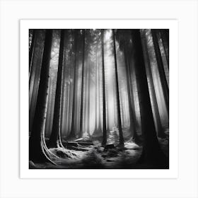 Forest 38 Art Print