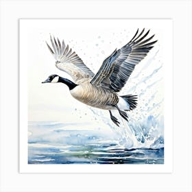 Canada Goose In Flight 1 Art Print