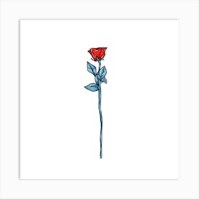 Red rose Art Print