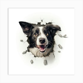 Border Collie 2 Art Print