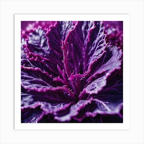 Purple Cabbage Art Print