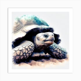 Watercolor Turtle Illustration Art Print