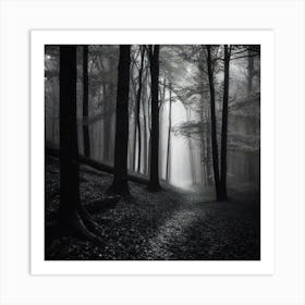 Dark Forest 3 Art Print