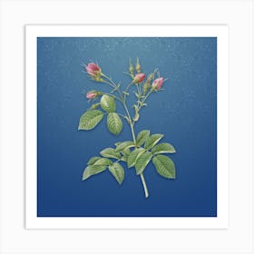 Vintage Crimson Evrat's Rose Botanical on Bahama Blue Pattern Art Print